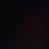 john_skelton
